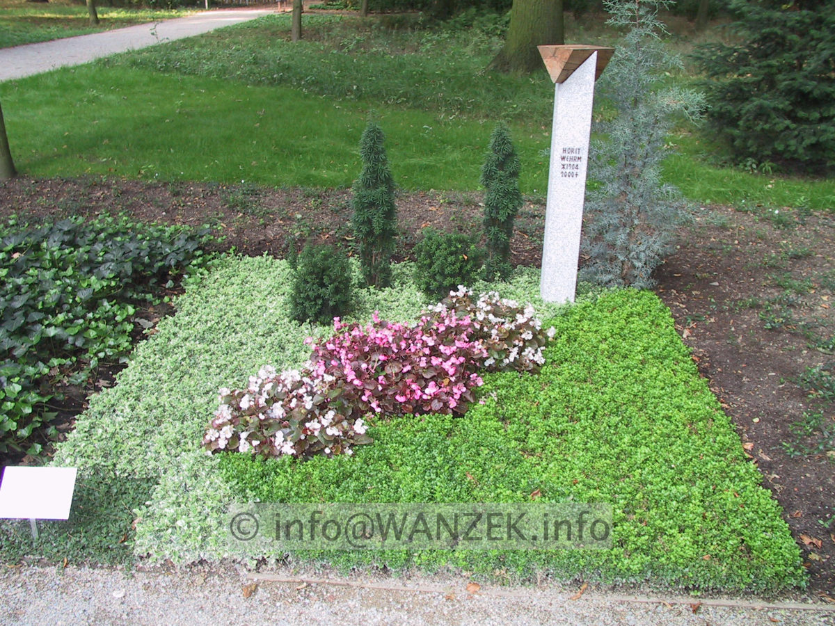 Grabbepflanzung 05.JPG